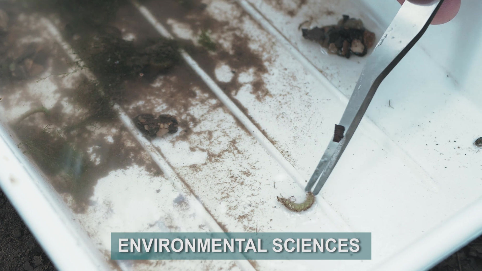 EPFL - Summer Schools